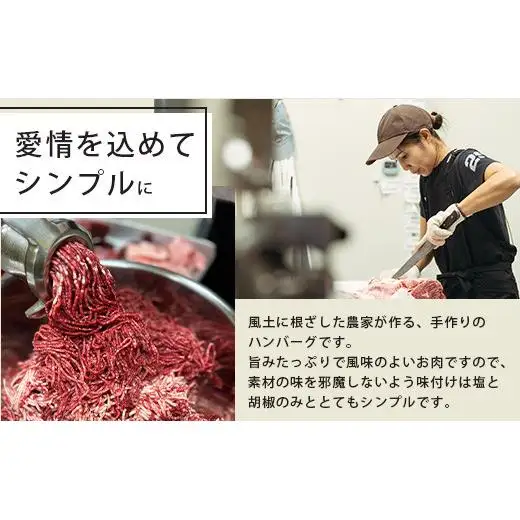 ＜先行予約＞石垣島黒毛和牛１００％ハンバーグ 100g×10個  BO-1