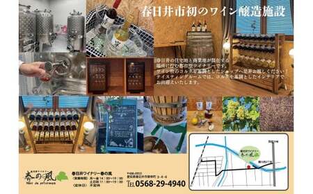 春日井ワイナリ－春の風 2024(寧)デラウェア 白ワイン 750ml 1本
