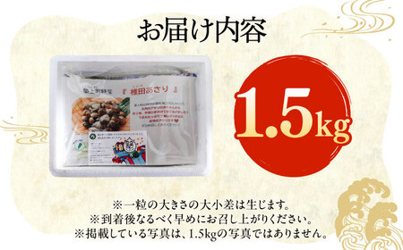 【令和6年4月頃発送予定】特産 椎田 あさり 1.5kgアサリ 活あさり [ABAY002]