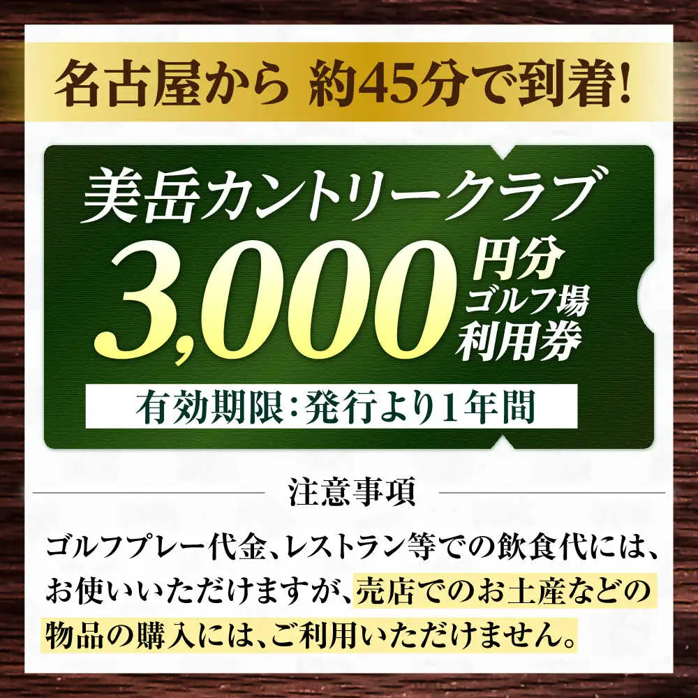 美岳カントリークラブ 3,000円分 [AVAM001] ゴルフ 利用券 岐阜県 東海 ゴルフ場