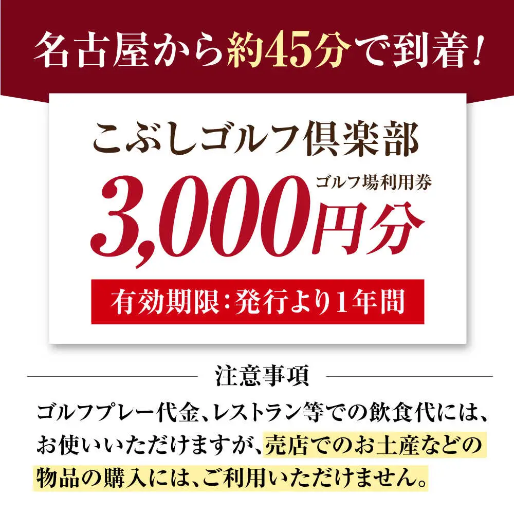 こぶしゴルフ倶楽部 3,000円分 [AVAO001]ゴルフ 利用券 岐阜県 東海