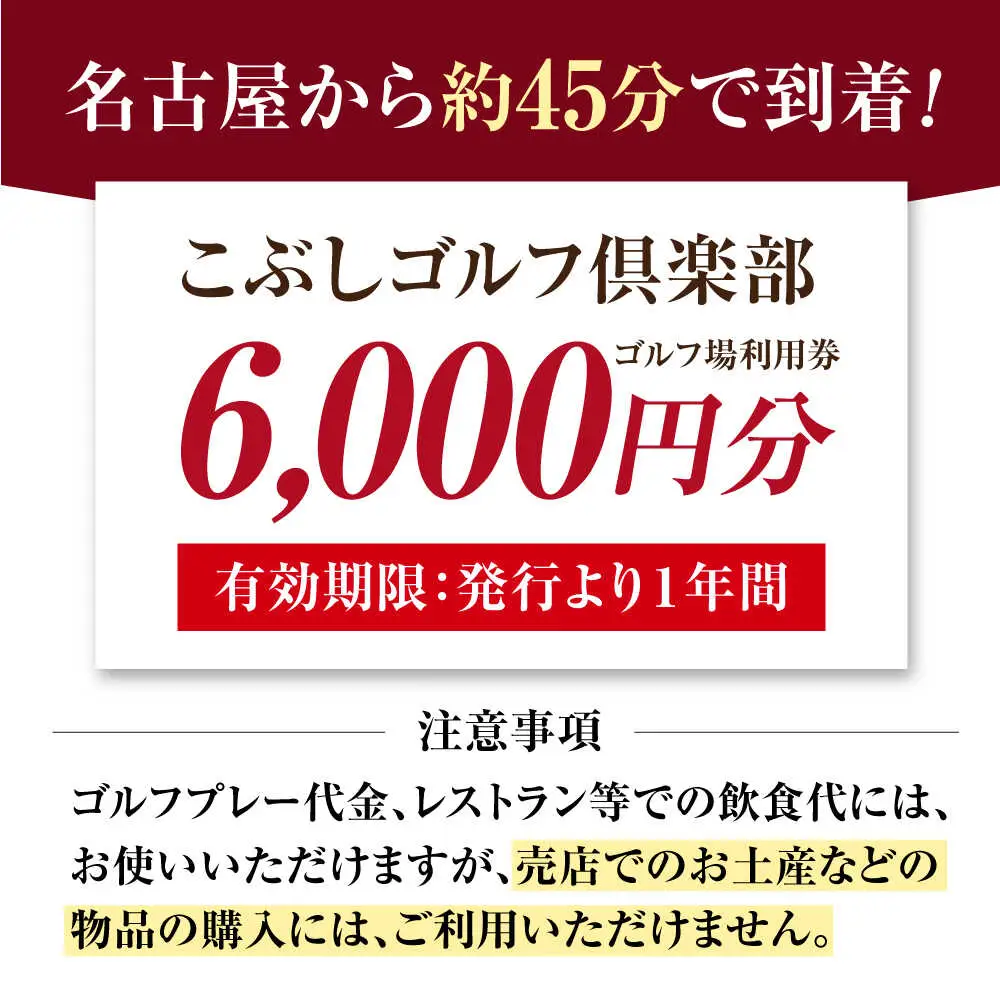 こぶしゴルフ倶楽部 6,000円分 [AVAO002]ゴルフ 利用券 岐阜県 東海