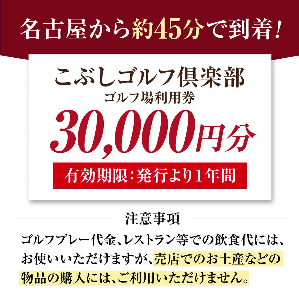 ゴルフ場 利用券 30,000円分 [AVAO006]岐阜 東海