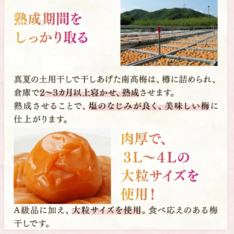 紀州南高梅「蜜恋」（塩分約5％）350ｇ はちみつ梅干し A級品 大粒3L以上 / 和歌山 梅干し 田辺市 紀州南高梅 南高梅 梅干 梅 うめ 肉厚 お米 おにぎり 焼酎 梅酒 健康 はちみつ入り りんご酢 塩分約5％ 塩分控えめ【kbe042-1】