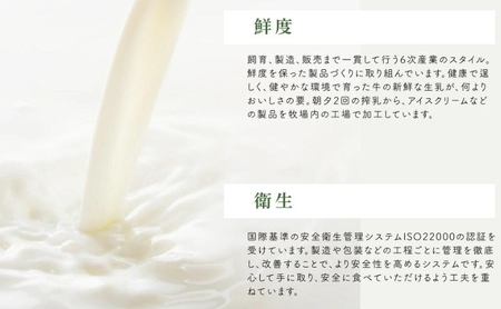 アイスクリーム 長門牧場 贅沢480ml バニラ アイスクリーム【480ml×2個】【定期便6ヵ月】