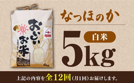 【全12回定期便】対馬産 なつほのか 5kg [WCQ003] 白米 米 お米 ご飯 ごはん 5kg 5キロ 贈答用 定期便 