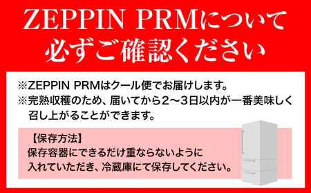 トマト ZEPPIN PRM1kg ミニトマト