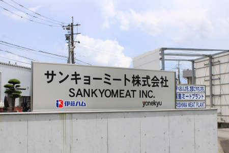 九州産豚切り落とし　2.4・（300g×8P 国産 豚肉 切り落とし 真空包装 冷凍 送料無料 切落とし 豚肉切落とし 九州産豚肉切り落し 豚肉 )
