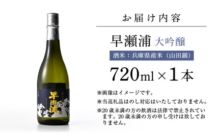 【お中元】 入手困難【早瀬浦】大吟醸 720ml × 1本【日本酒 地酒 福井 美浜 早瀬 フルーティ 男酒 硬水 ミネラル 希少 ご褒美 家飲み 就職祝い 転職祝い ハレの日】 [m16-b027]
