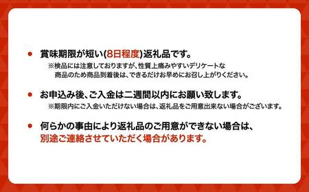 先行予約 訳あり 梨 なし 濃あま梨 約4kg 品種おまかせ 2026年8月中旬から9月下旬発送予定