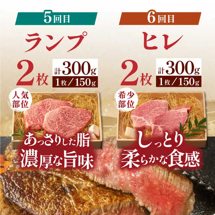 【全6回定期便】 長崎和牛 ステーキざんまいコース 総計2.5kg / モモ リブロース イチボ サーロイン ランプ ヒレ / 肉 牛肉 ステーキ 焼肉 / 波佐見町 / 野中精肉店 [VF81] 九州 九州産