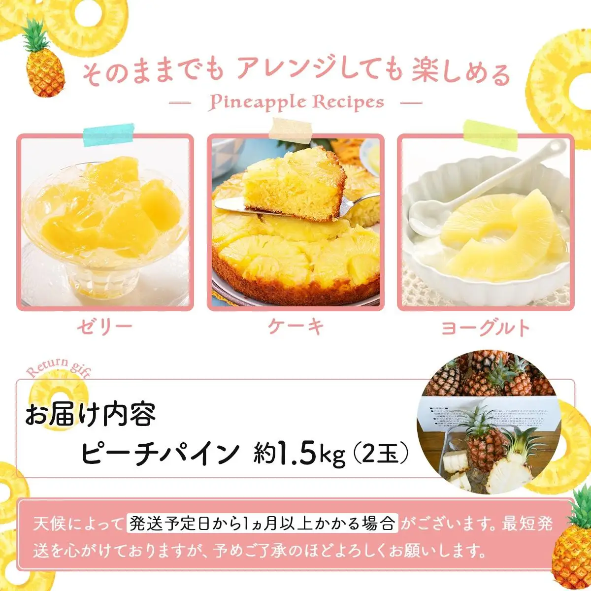 【2027年先行予約】ピーチパイン 2玉 