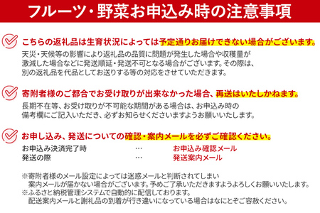 【ふるなび限定】博多とよみつひめ 1,000g（４パック）【2026年8月～10月に発送予定】 CD23f FN-Limited-PR