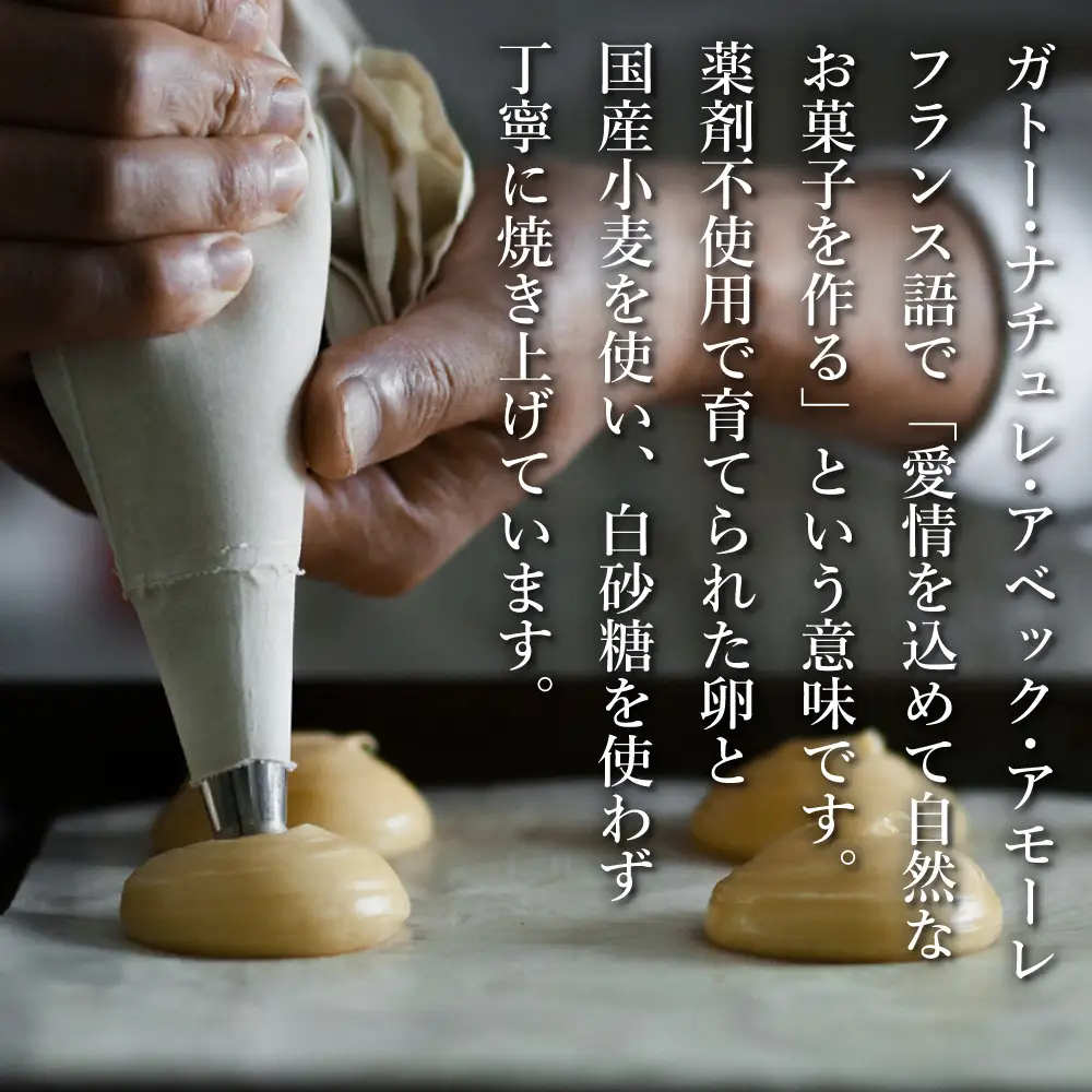 弁天堂 シュークリーム食べ比べセット 8個　クッキーシュー