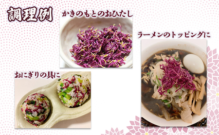 かきのもと（食用菊）1kg 野菜 苦みが少ない 旨味 香りが強い シャキシャキ食感 鮮やか 紫色 食用花 彩 食卓 華やか 