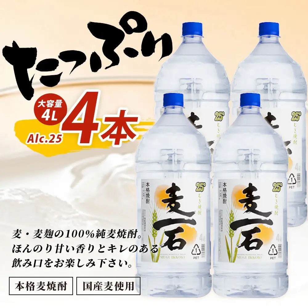 メガボトル4L×4本！ 純 麦焼酎【麦一石】4L エコペット 25度 計16L 焼酎 蔵元直送 16リットル パーティサイズ 麦 酒 麦麹 焼酎 大容量 熊本 球磨 焼酎 多良木町 040-0588
