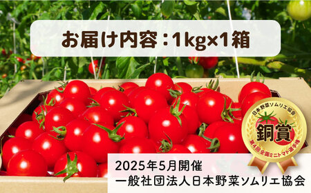 【先行受付】フルティカ 1kg 【2026年11月以降順次発送】糸島市 / かわぞえ農園 トマト 中玉トマト  [AAM005]