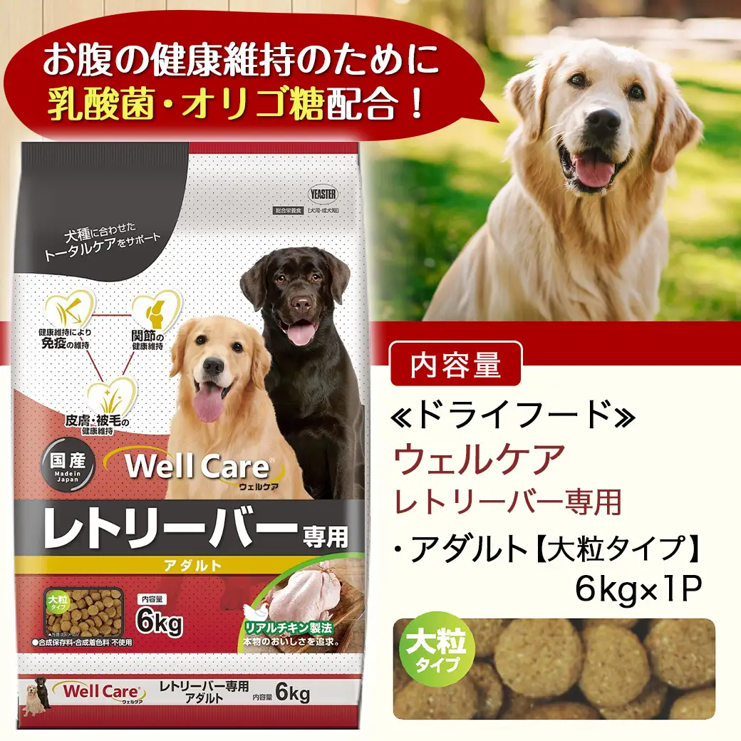 ドッグフード(レトリーバー専用)アダルト6kg〔LG-3315〕_(都城市) 国産総合栄養食 ドライフード レトリーバー専用 大粒タイプ アダルト用 健康維持 犬種別 犬用フード