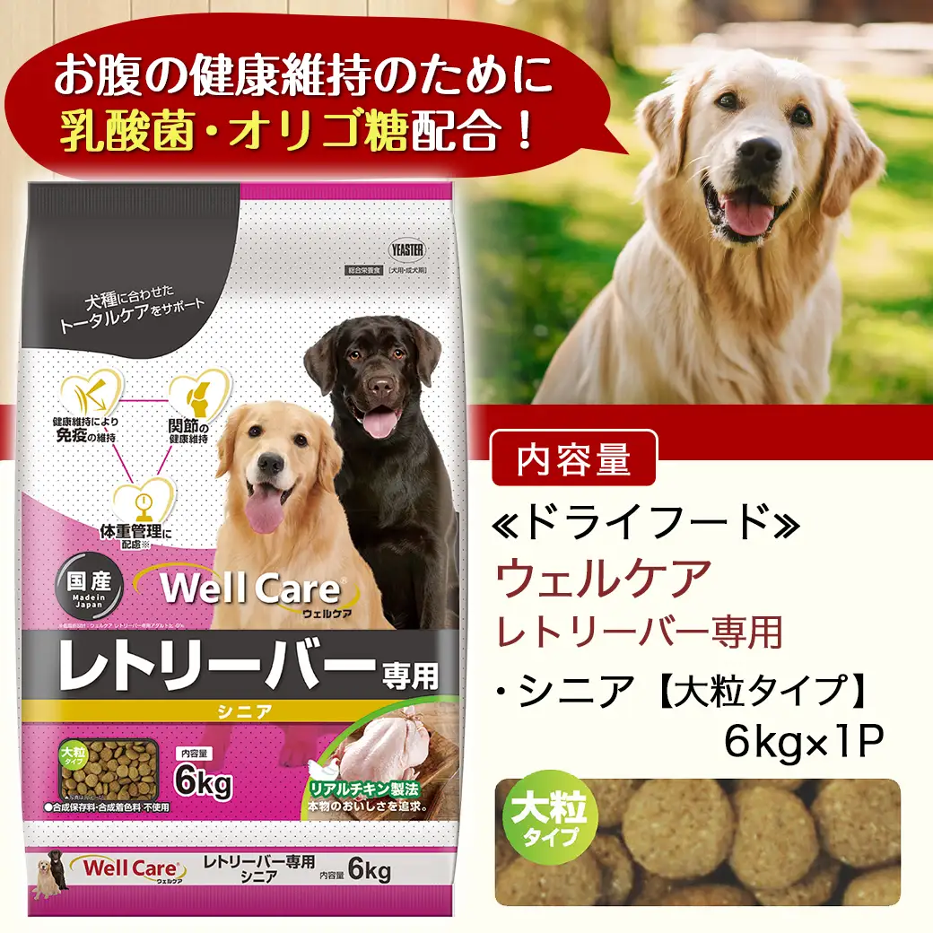 ドッグフード(レトリーバー専用)シニア6kg〔LG-3316〕_(都城市) 国産総合栄養食 ドライフード レトリーバー専用 大粒タイプ シニア用 健康維持 犬種別 犬用フード