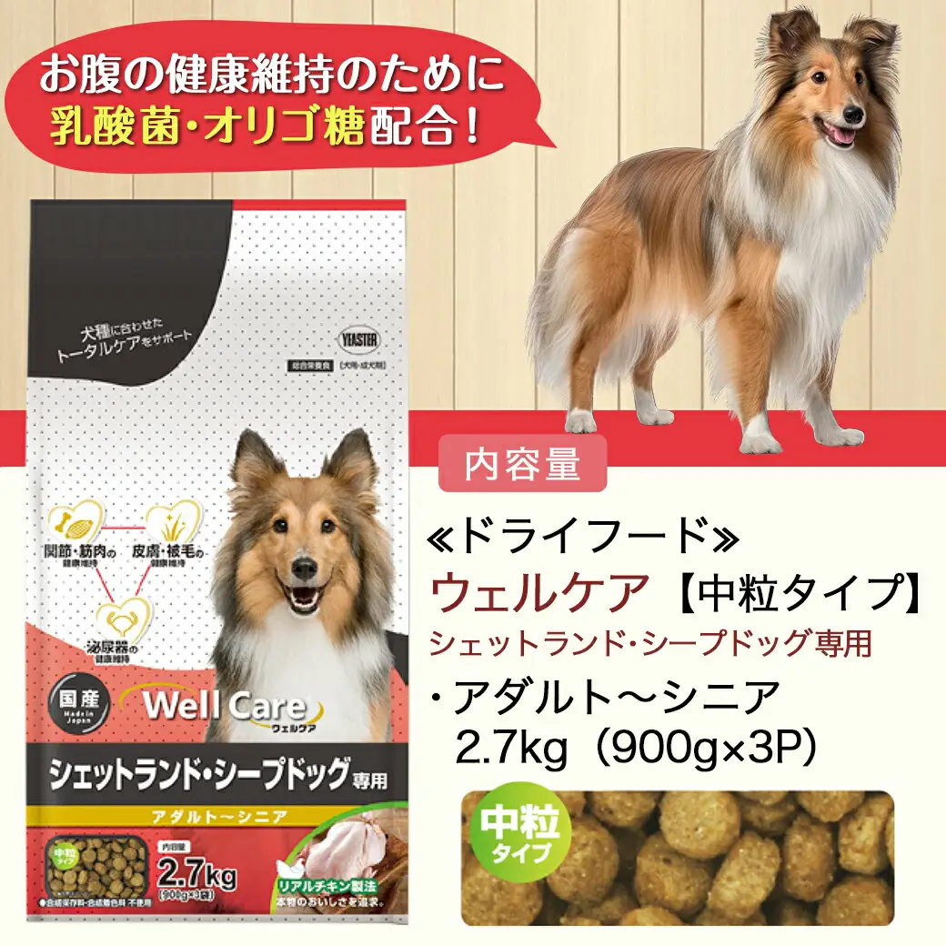ドッグフード(シェットランド・シープドッグ専用)アダルト～シニア2.7kg〔LF-3312〕_(都城市) 国産総合栄養食 ドライフード 中粒タイプ 健康維持 犬種別 犬用フード シェットランド・シープドッグ専用