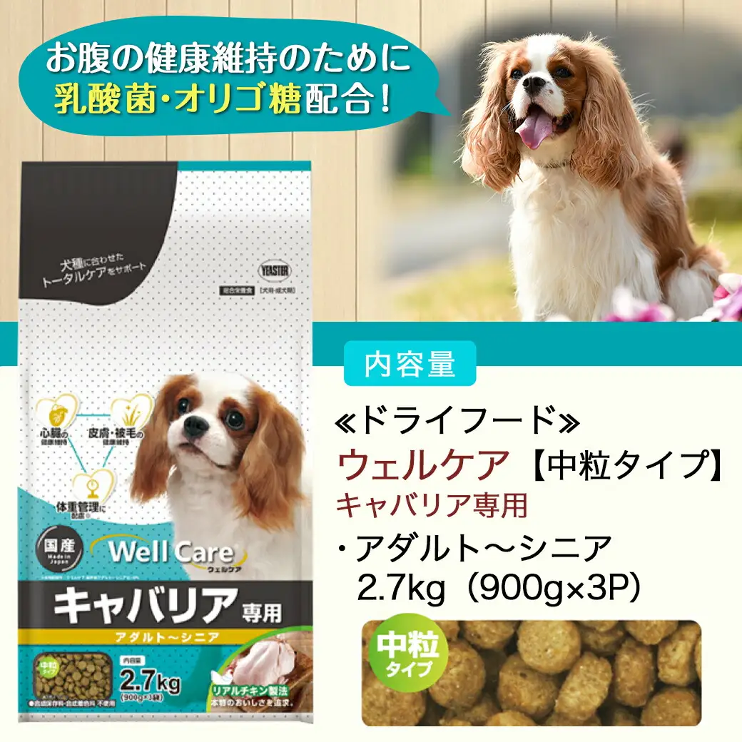 ドッグフード(キャバリア専用)アダルト～シニア2.7kg〔LF-3316〕_(都城市) 国産総合栄養食 ドライフード 中粒タイプ 健康維持 犬種別 犬用フード キャバリア専用