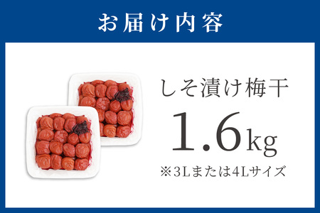 【1125-2】しそ漬け梅干し（紀州南高梅）1.6kg 大粒 3L以上 和歌山県産
