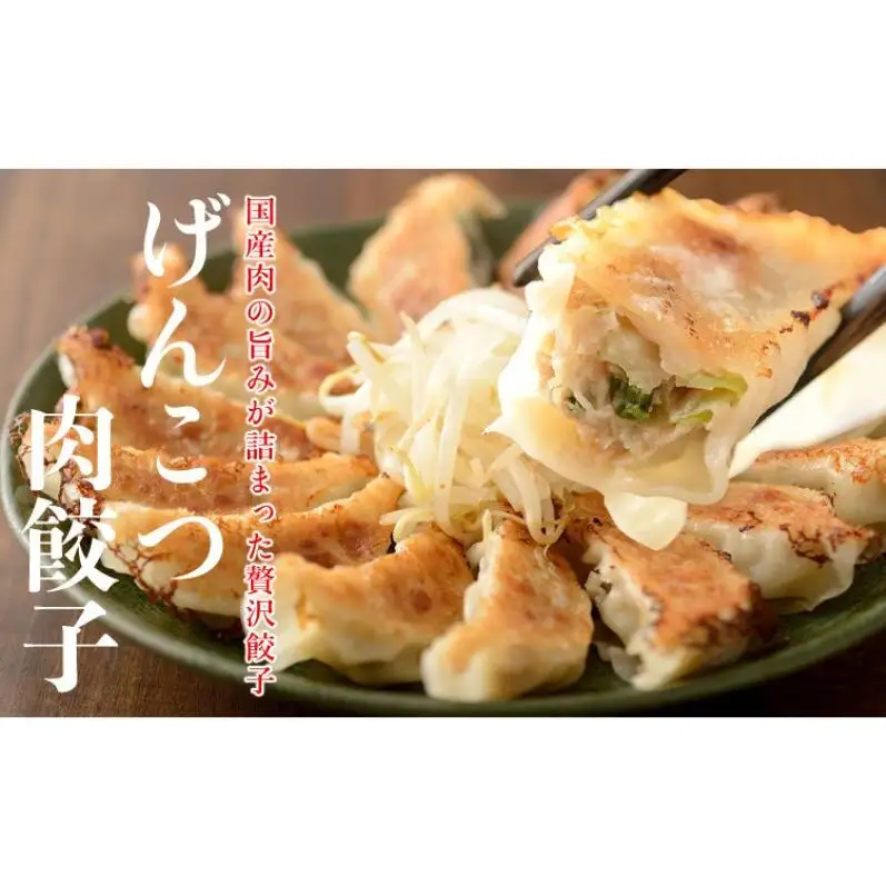 餃子 いえやす餃子 2種 100個セット 惣菜 冷凍 冷凍餃子 餃子