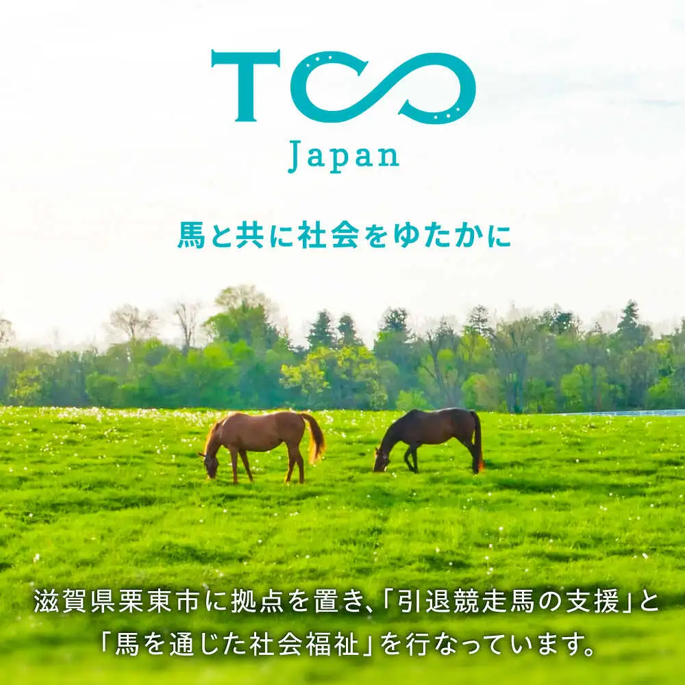 TCCホースシュー 世界に一つだけの蹄鉄 BIAV003 競馬 競馬グッズ