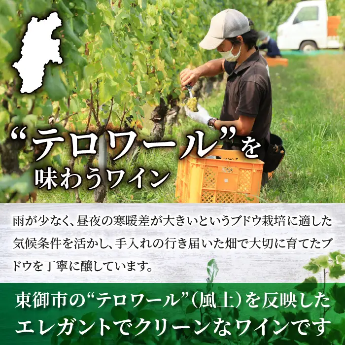 IWC＆日本ワインコンクール受賞ワイン！白ワイン 辛口 3種 飲み比べ 3本セット( ヴィニュロンズリザーブ シャルドネ & ソーヴィニヨン ブラン & ピノ・グリ)｜【ヴィラデストワイナリー】GI長野 長野ワイン 日本ワイン 東御ワイン ワイン 辛口 ミディアムボディ ピノ 長野 東御