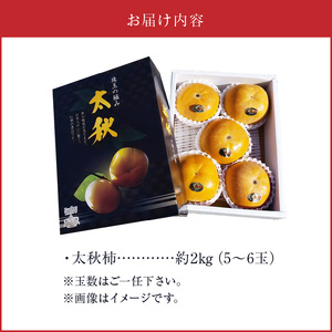 えのしまファーム【贈答用】太秋柿 約２ｋｇ(5～６玉)  _U85-0002