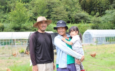 放し飼い養鶏 たまご 6個入り 3パック 卵