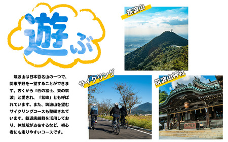 常陸牛 薄切り落し肉 500g 常陸牛A4・A5【茨城県共通返礼品】