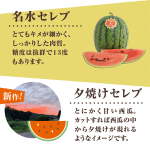 【2026年先行予約】北杜市白州産すいか「すいかばか！」のこだわりの特選すいか セレブシリーズと名水甲羅の中から2玉セット [h047]