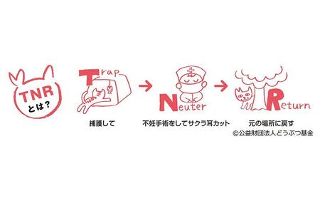 【さくらねこTNR活動支援 】静岡市産 ほうじ茶ティーバッグ 2g 12個入 × 5袋（計60ティーバッグ）◆