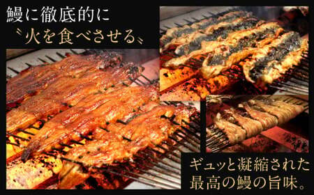 【指定日可】鰻の蒲焼 (冷蔵225g／約2～3人前／約1.5尾)