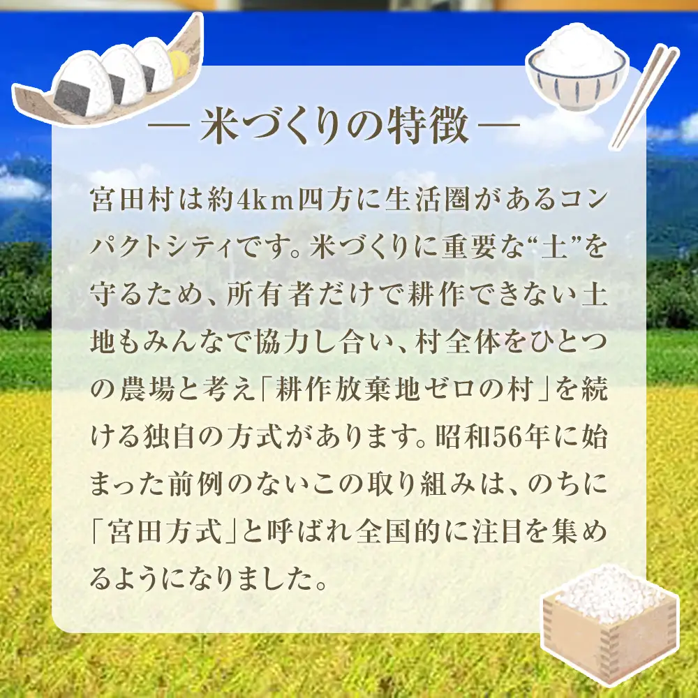 【予約受付】【令和８年米】【新米】長野県宮田村産コシヒカリ／精米／10kg・20,000円／11月配送 [ コシヒカリ  ]