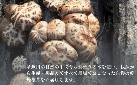 原木栽培の乾燥椎茸５種の詰め合わせ（どんこ 小粒どんこ こうしん スライス 得用）【新潟県 糸魚川 しいたけ シイタケ 香信】