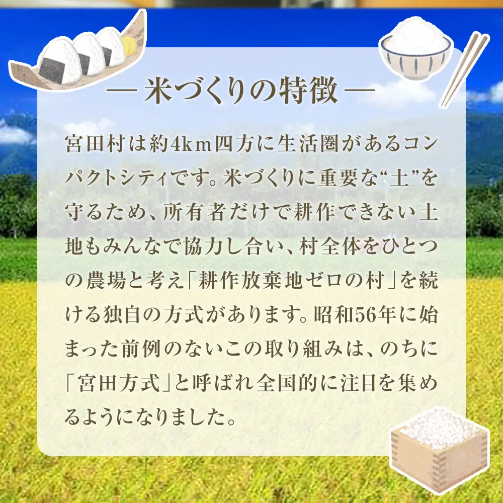 【予約受付】【令和８年米】長野県宮田村産コシヒカリ／玄米／30kg・54,000円／令和９年2月配送