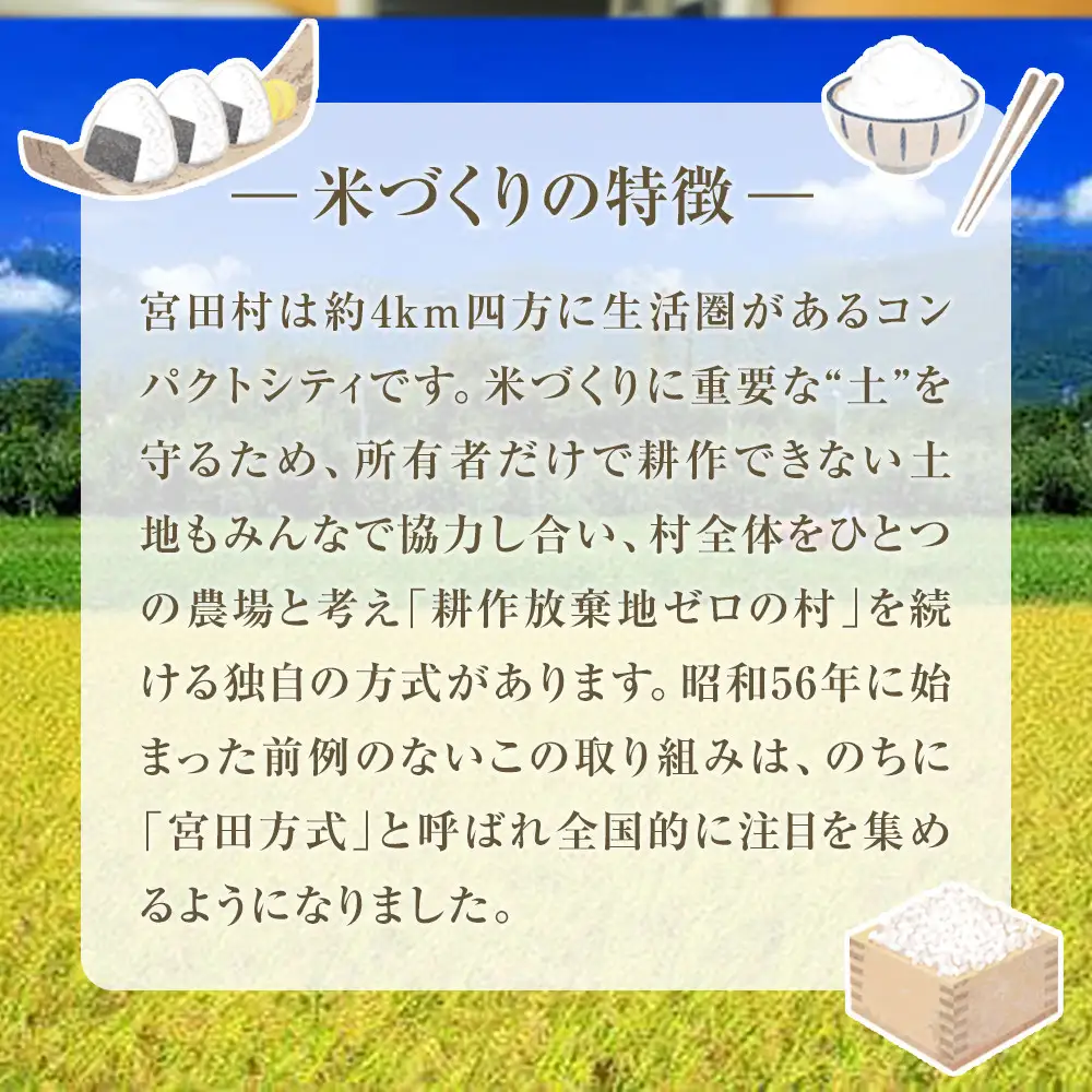 【予約受付】【令和８年米】長野県宮田村産コシヒカリ／玄米／30kg・54,000円／令和９年3月配送