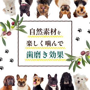 【 小豆島 】 小豆島産 オリーブの犬用はみが木 M(中型犬用) 1本入 ペット 健康 犬 いぬ イヌ 歯磨き 歯みがき ハミガキ オリーブ オリーブ木 犬用 中型犬 香川 香川県 土庄 土庄町