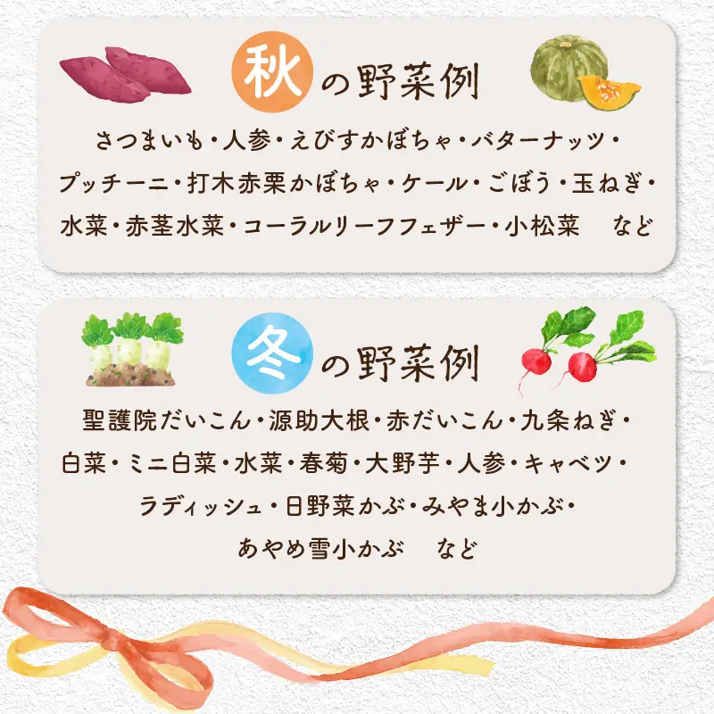 【12回定期便】自然栽培野菜セット 2~3人用 月1回×12ヵ月 野菜