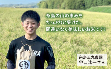 糸島産 ミルキークイーン 5kg 糸島市／糸島王丸農園（ 谷口汰一 ）【いとしまごころ】 米 [AAZ019]