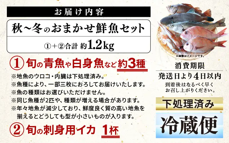 【先行予約】【期間限定】福井 若狭の 鮮魚セット 秋～冬 計約1.2kg【2026年10月下旬以降順次発送】【鮮魚 海鮮】 [m21-b011]