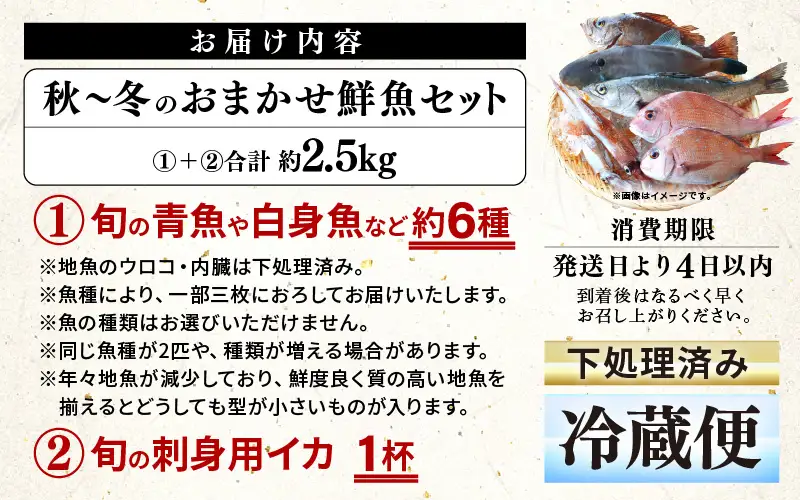 【先行予約】【期間限定】福井 若狭の 鮮魚セット 秋～冬 計約2.5kg【2026年10月下旬以降順次発送】【鮮魚 海鮮】 [m21-e004]