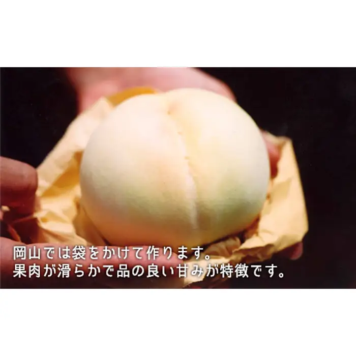 岡山県産「白桃・シャインマスカット・ニューピオーネ」詰合せ 約1.8kg【26年8月下旬以降の出荷分】