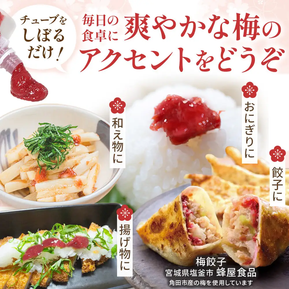 宮城県角田産　【無添加】まごころ 手作り 練り梅(160g)×3個 ｜ 梅干し ふるさとの味