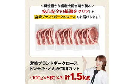 豚肉 宮崎ブランドポーク ローストンテキ・とんかつ用 カット 1.5kg 豚肉
