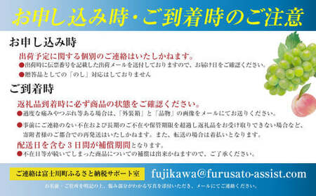 ☆この価格には理由がある☆＼農家のこだわりが詰まった／シャインマスカット 1.0~1.2ｋｇ (２房) 【2025年発送分】シャイン マスカット フルーツ 山梨県産 果物 くだもの ぶどう ブドウ 葡萄 種なし 種なし 産地直送 先行予約 富士川町