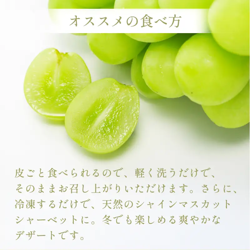 B-1179 冬季シャインマスカット 1kg