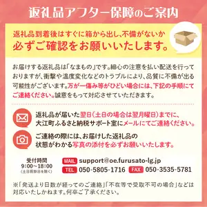 《先行受付》訳あり シナノスイート約10kg（28～46玉）【2026年10月中旬～発送予定】【大江町産・山形りんご・りんご専科 清野】 015-057